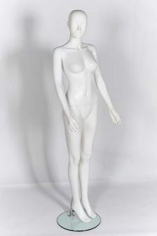 Female Mannequin Abstract