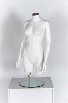 Female Torso with Arms