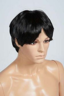 Male Wig for Plastic Mannequin
