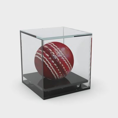 Cricket-ball-display-case