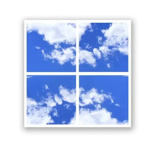 Natural Sky 2D Design Ceiling Light